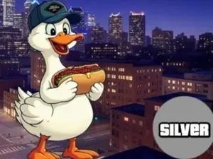 SPORTS CONNECTION QP SILVER EDITION - MULTI-SPORT (1 CARD)