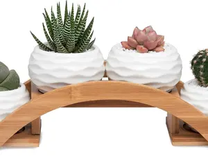 E-liu Succulent Pots and Stand Set, Ceramic White Succulent Planter Pot with Drainage, Pack of 4, Cute Office Garden Indoor Decoration, Plants Not Included
