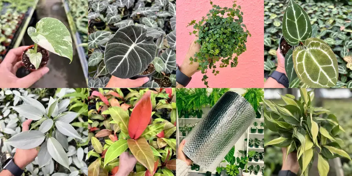 background preload poster image 