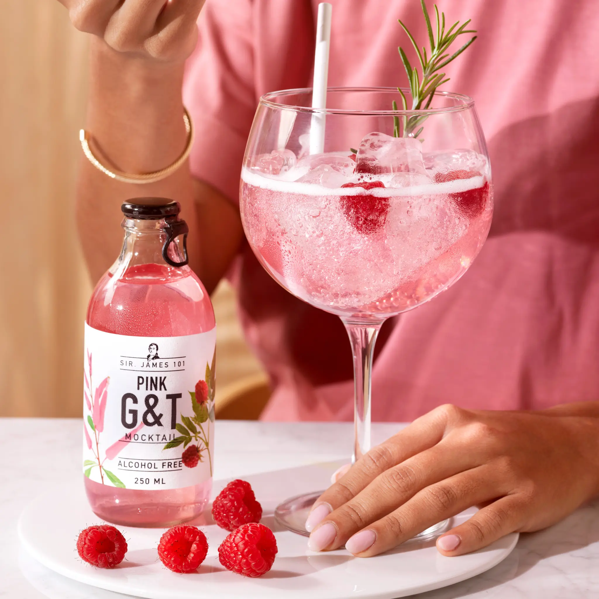 Sir. James 101 Alcohol-Free Pink Gin & Tonic | 6-pack