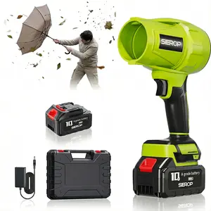 Cordless Brushless Leaf Blower, Portable Turbo Jet Blower & Electric Air Duster, 1×3000mAh (3.0Ah) Battery Powered, Handheld for Yard/Garden Leaves, Patio Cleaning, Garage Dust Removal, Car Dryer After Wash, Light Snow Blowing