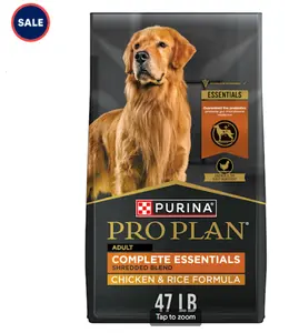 Complete Essentials Shredded Blend Chicken and Rice Dry Dog Food Formula with Probiotics