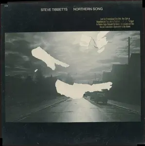 Steve Tibbetts - Northern Song (Very Good (VG)) Jazz, Rock (LP, Album)