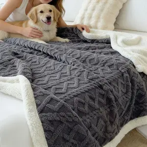 Soft Cloud Velvet Thick Warm Blanket, Durable Stitched Edges, Multi-Functional Luxury Soft Cover, Pet Friendly, Throw Blanket