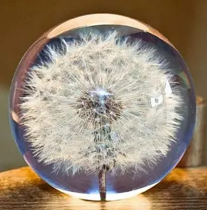 Real Dandelion in Hand Blown Glass Specimen Ball - 1PC Crystal Dandelion Paperweight Fengshui Figurine for Home Desktop Decor