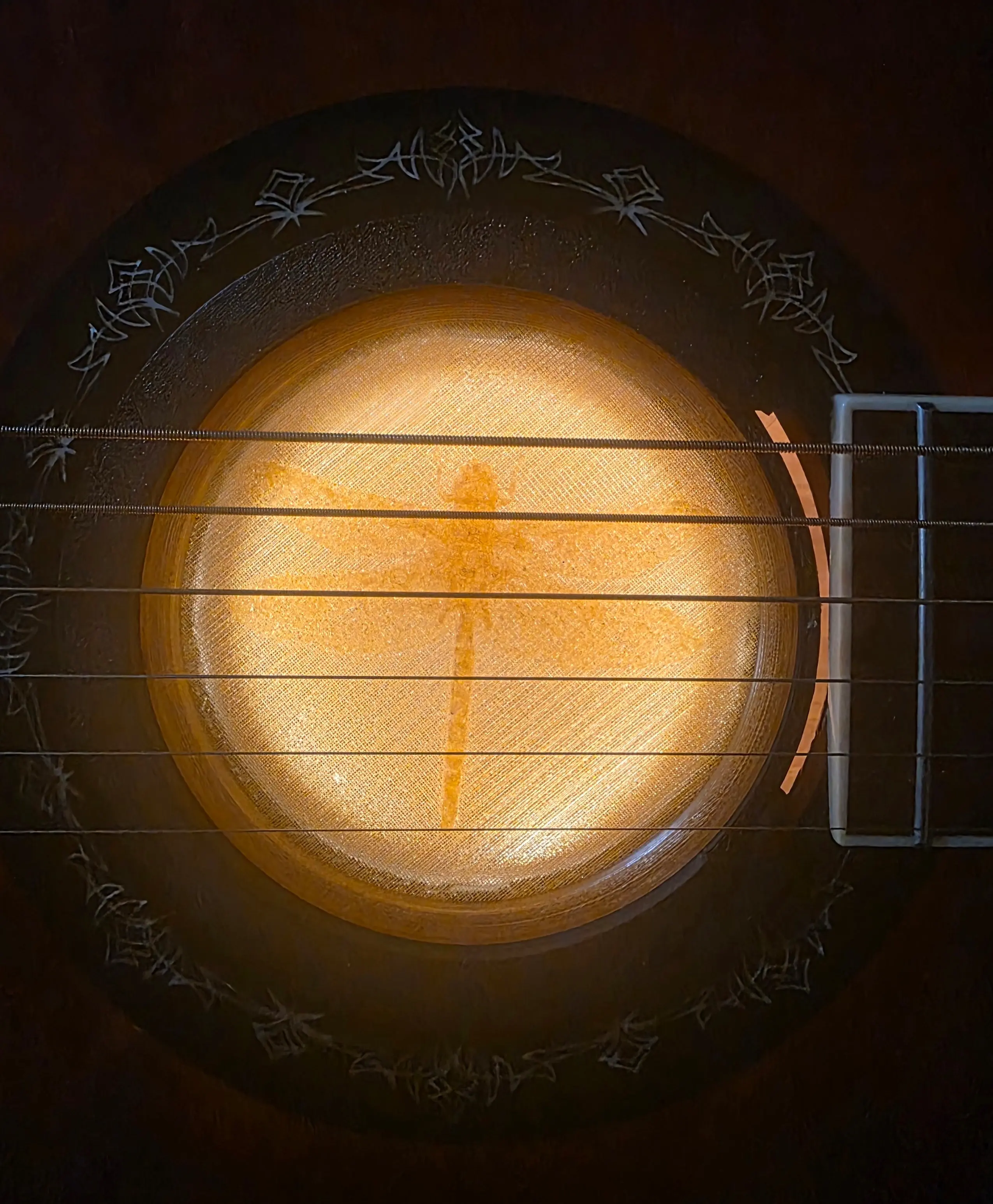 Dragonfly,  Amber lit