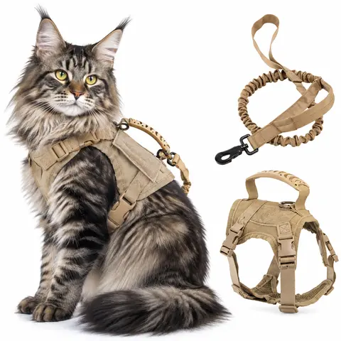 600D Nylon Escape Proof Pet Harness & 120cm Leash Set - Leads & Harnesses for Small Breeds, Adjustable Neck/Chest (24-54cm/35-51cm), Durable, Comfortable, Stylish, Breathable Safety Gear, Hands-Free Walk for Home Interactions