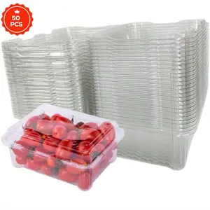 Disposable Transparent Plastic Packaging Box (50 Count) with Cover, Disposable Plastic to Go Boxes fruit and vegetable box, Used to Hold Fruits, Vegetables, Salad