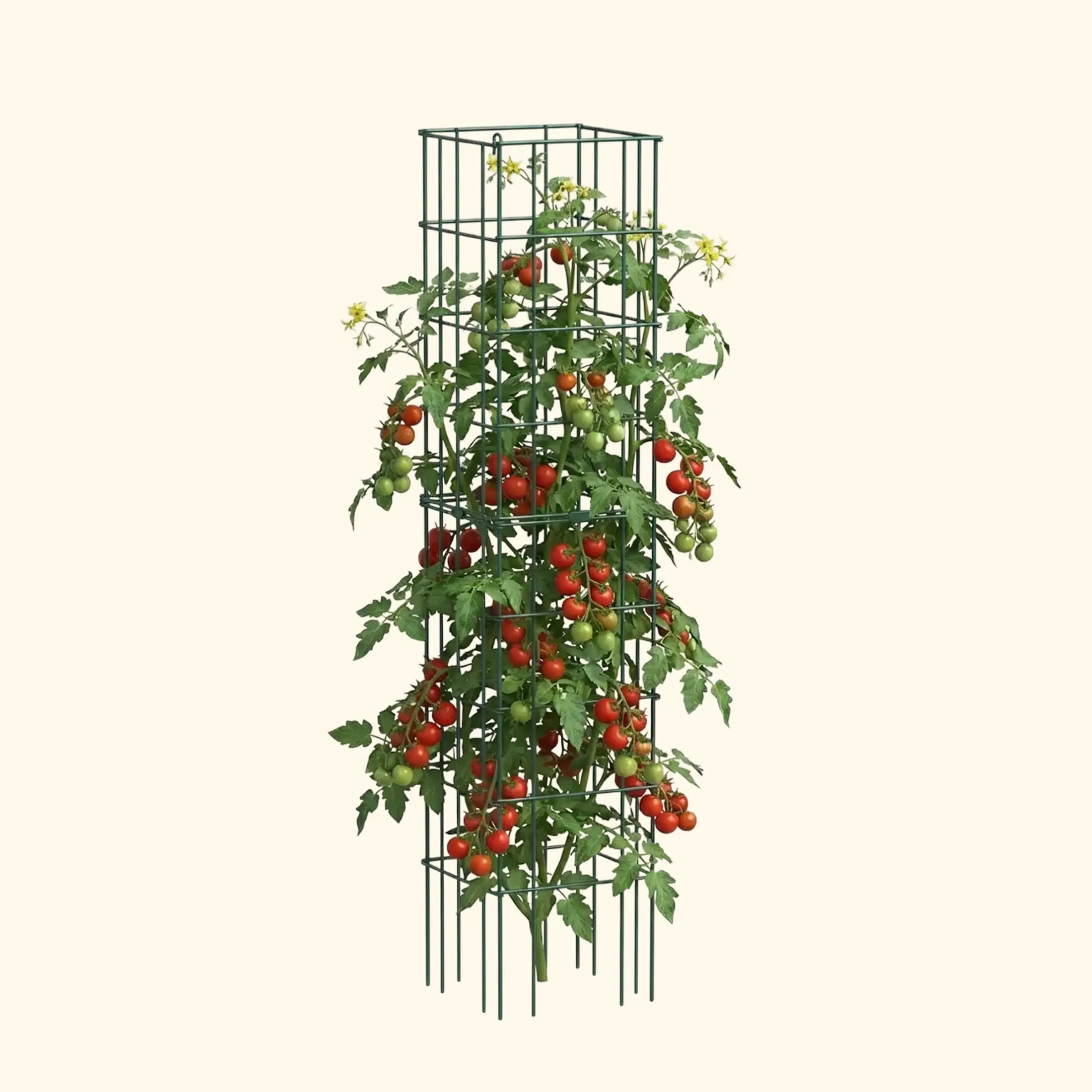 FlexGrow Tomato Cage - 16.5" Square FlexGrow Tomato Cage - 16.5" Square