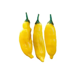 Aji Limo / Lemon Drop Seeds Aji Limo / Lemon Drop Seeds