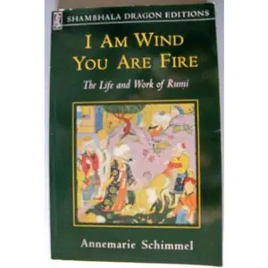 USED-I Am Wind, You Are Fire: The Life and Work of Rumi by Annemarie Schimmel (Paperback)