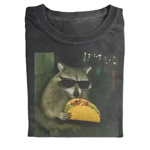 Raccoon Eating Taco T-Shirt, Funny Meme Shirt Funny Graphic, Y2K 90s Graphic Shirt, gift for her, him, Womenswear Top, Crewneck, Streetwear Tshirt