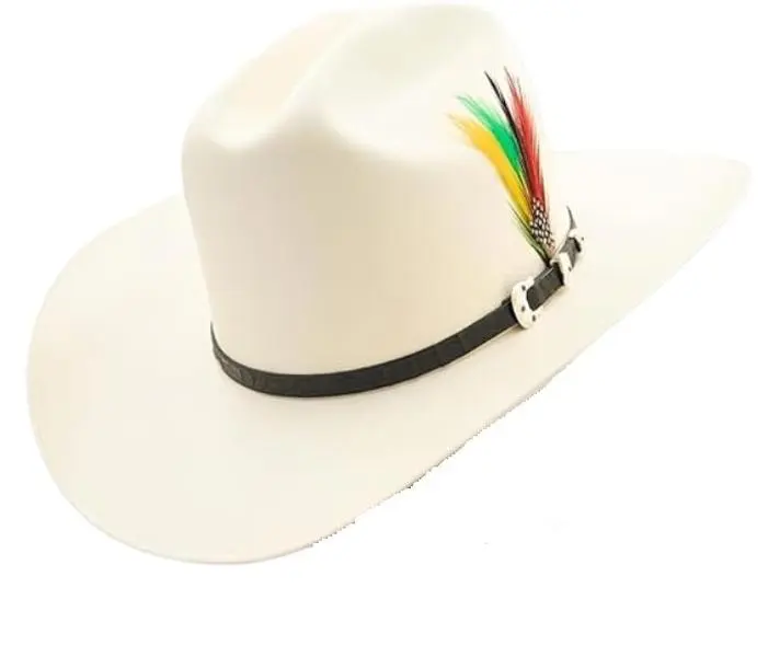 Sombrero Vaquero, Viste a la Moda 1000x Telar horma sinaloa, western cowboys