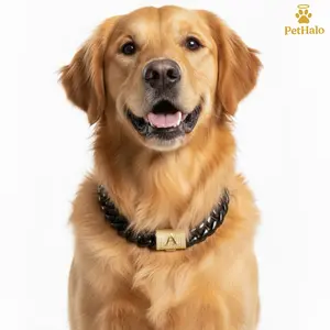 pet necklace Luxury Dog Cuban Chain Collar – Heavy Duty Stainless Steel Dog Necklace with A–Z Alphabet Letters, Secure Buckle, Pet Jewelry & Accessories for Large Dogs gift for dogs 16/18/20/22/24/26inch Gold Puppy Collar with Pendant