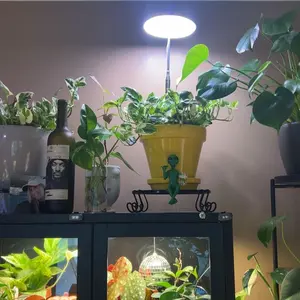 Alien Design Beer Drinking Statue, 1 Box Fun & Humorous Outer Space Decor, Alien Figurine with Beer Mug, Ideal Gift for Sci-Fi Fans, Ornaments, Decoration, Shelf #GLOBAL PICKS