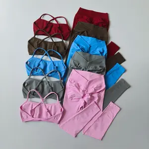 Peach Buttock Fitness Suit 2PCS High Waitsed Leggings Set Tight Yoga Sportswear Quick-drying Seamless Set Pilates Bra Women Sets