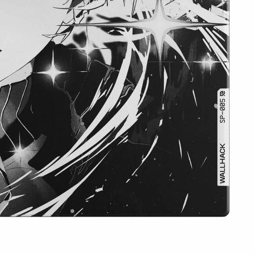 Wallhack SP-005 Limited Edition: Awakening Sora | Glass Anim Wallhack SP-005 Limited Edition: Awakening Sora | Glass Anim