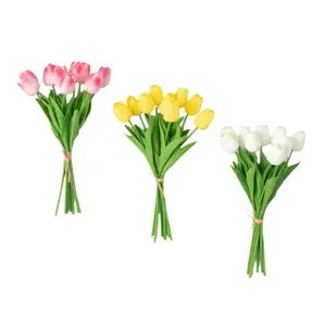Florals Tulip Bundle
