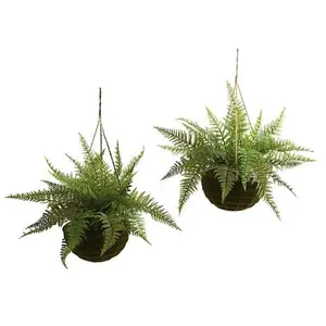 Nearly Natural Leather Fern with Mossy Hanging Basket  Set of 2