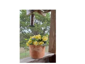 Pottery 8" Anne Terracotta Planter for Decorative Plants and Home Decor
