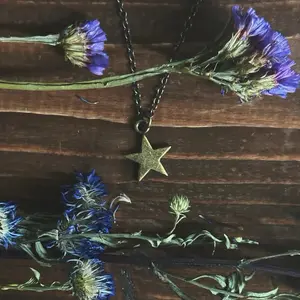 The Star Charm