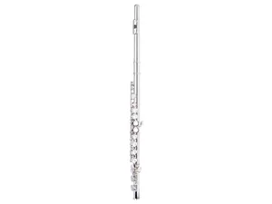 Stagg 22330 C Flute, Closed Holes, Offset G, Split E - Silver Plated