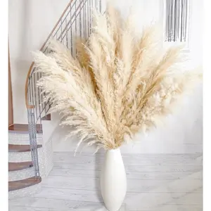 10pcs 40'' Tall Pampas Grass Decor - Pompas Floral for Floor Vases, Living Room Floor, Floor Plants and Grass Wall Home Decor