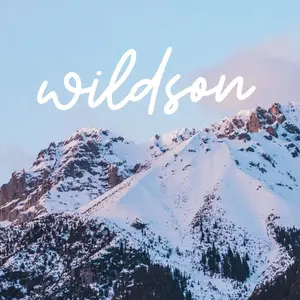 Wildson shop logo