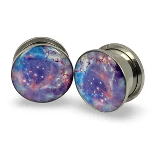 Galaxy Picture Plugs gauges pair body jewelry
