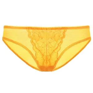 HSIA Enchante Floral Lace Sheer Mesh Back Mid-Rise Brief Matching Panty Underwear