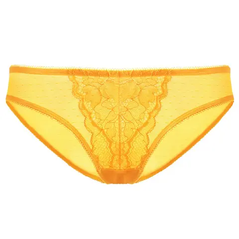 HSIA Enchante Floral Lace Sheer Mesh Back Mid-Rise Brief Matching Panty Underwear