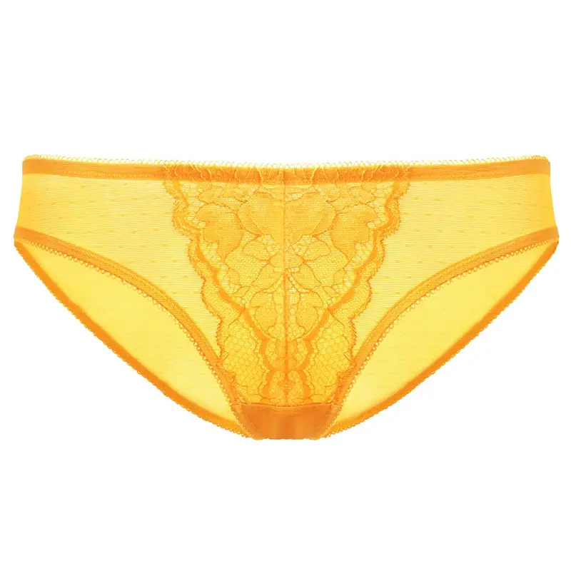 HSIA Enchante Floral Lace Sheer Mesh Back Mid-Rise Brief Matching Panty Underwear