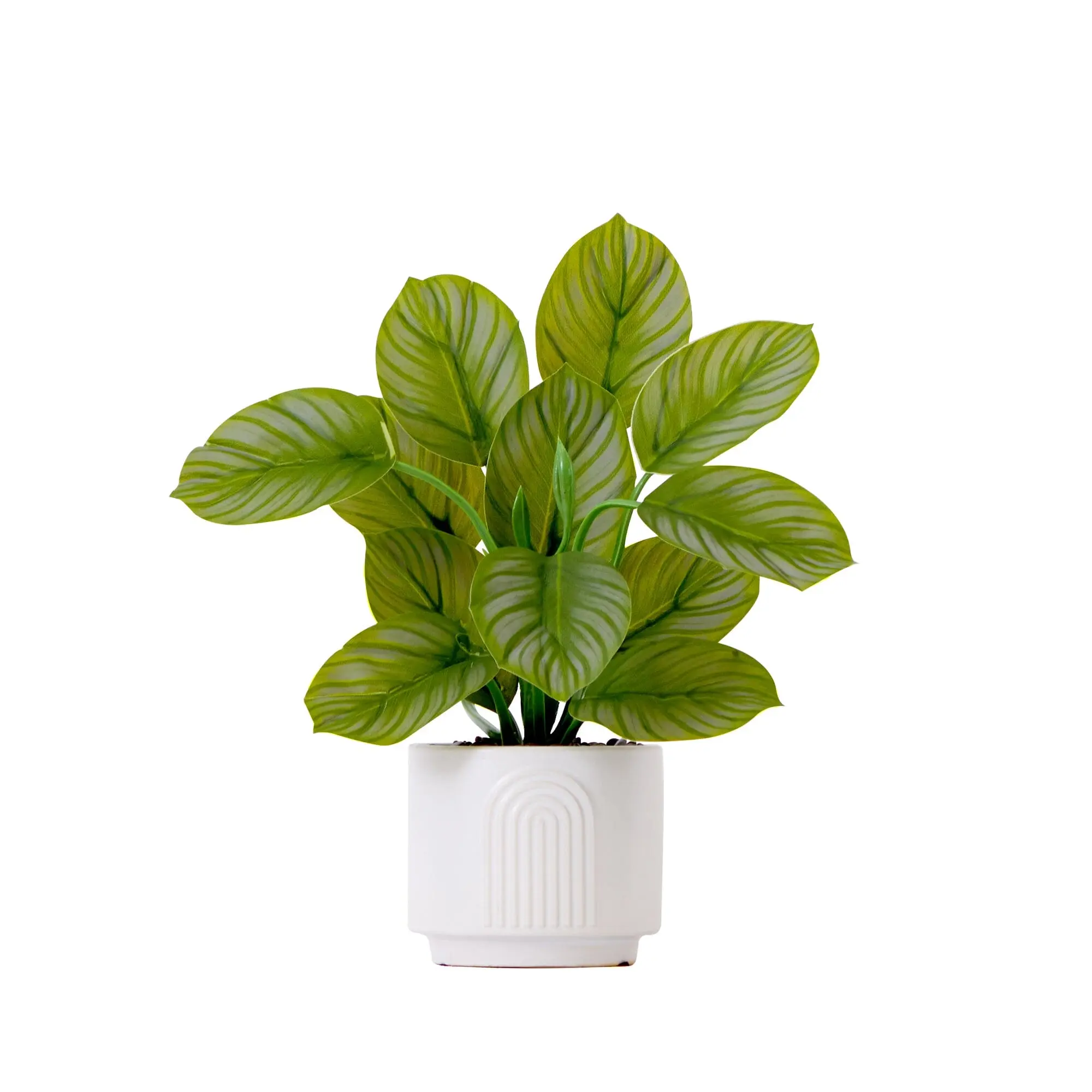 12in Colored Tropical Synthetic Calathea Leaf Artificial Plant, Decorative Planter Included, Colored Craft Leaves Artificial Plants for Home Decor