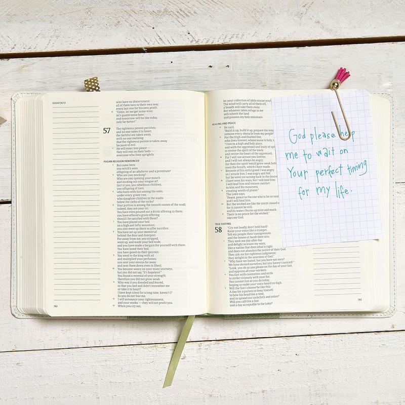 CSB Notetaking Bible Sage Cloth Over Board Black Letter Wide Margins Journaling Space Single Column Reading Plan Easy to Read Bible Serif Type