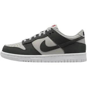 Youth Nike Dunk Low HF LT Iron Ore/Anthracite-White (FZ1000 001) (GS)