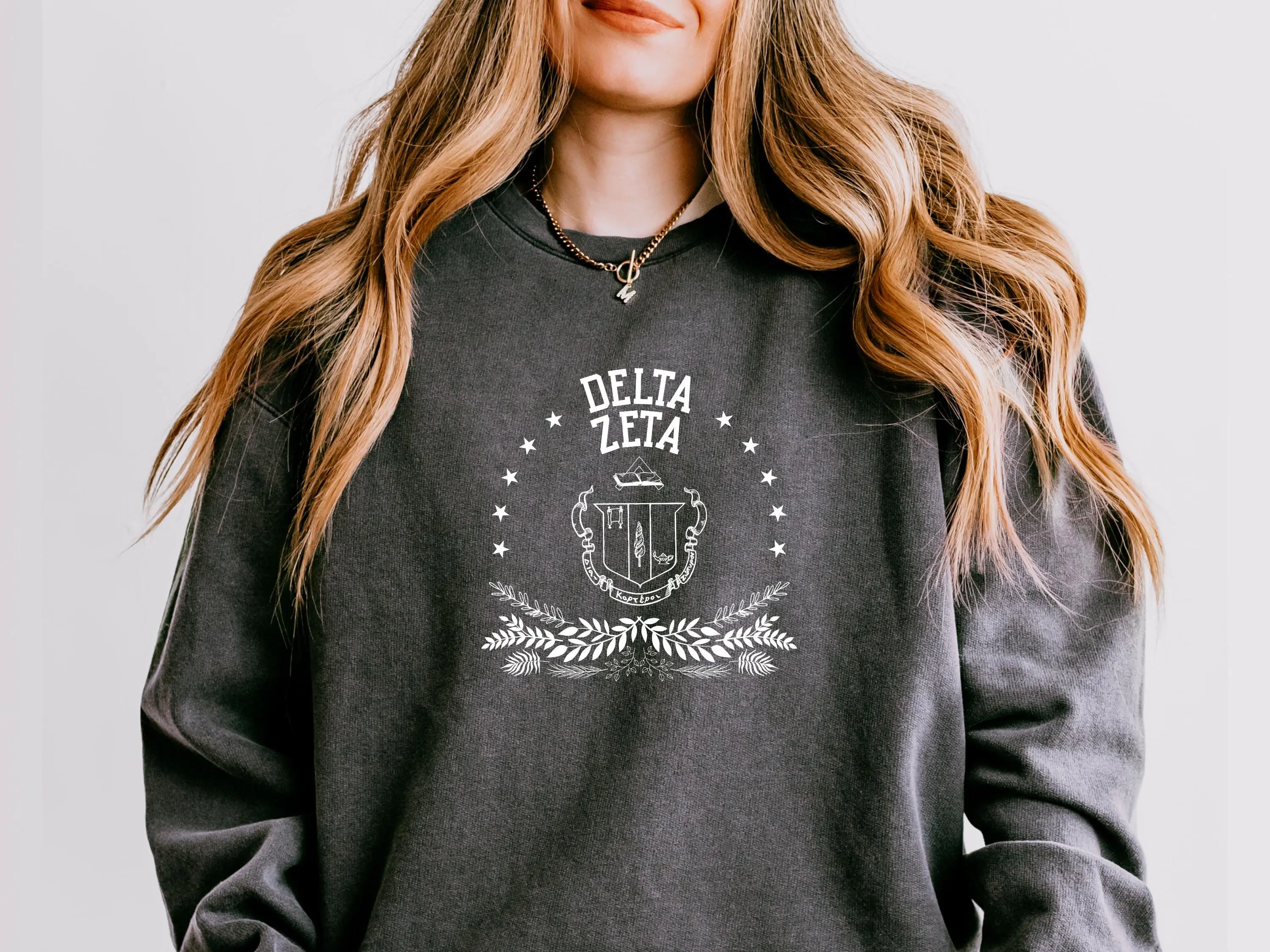 Delta Zeta Sweatshirt – Big Little Sorority Gift