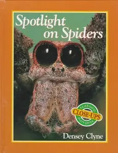 USED-Spotlight on Spiders (Nature Close-Ups) by Densey Clyne (Unknown)