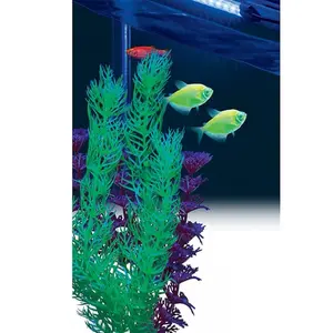 GloFish LED Aquarium Light Stick - Enhance Colors of Fluorescent Fish