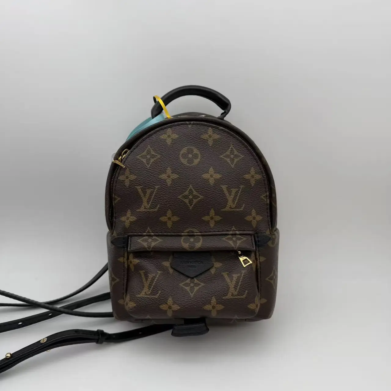 Pre-owned Louis Vuitton RL1 Palm Springs Mini Backpack 23299969