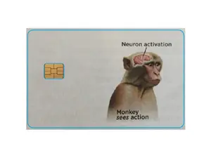 Neuron Activation Monkey Meme Credit/Debit Card Skin Sticker Cover (Small Chip) | Neuron Activation Monkey Meme Credit Card Skin | Glossy Finish