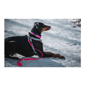 Dry Leash™