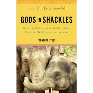 USED-Gods in Shackles: What Elephants Can Teach Us about Empathy, Resilience, and Freedom by Iyer, Sangita (Paperback)