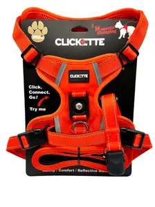 Clickette™ Magnetic locking Harness and Leash- Orange