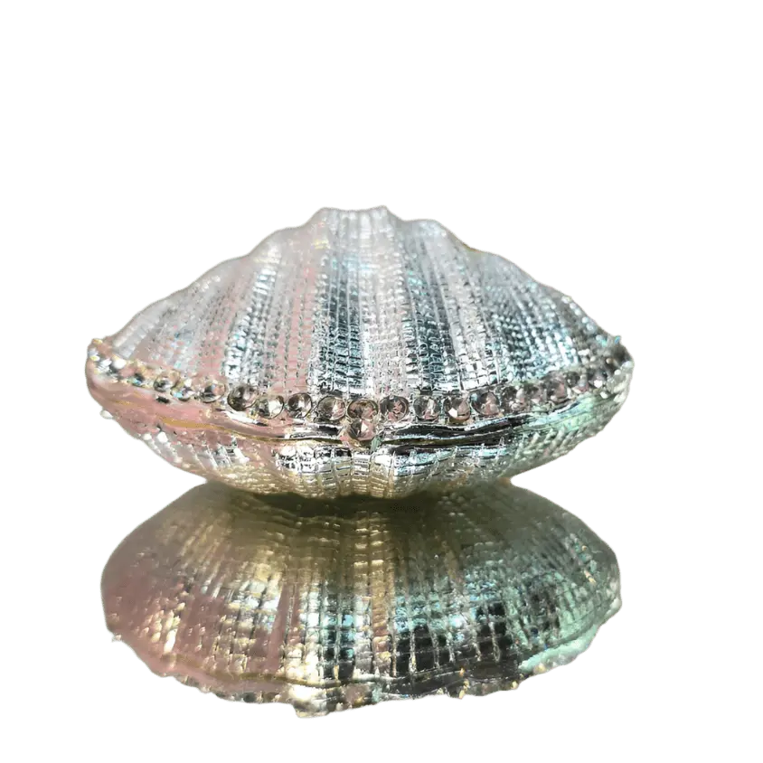 Silver Enchanted Seashell Trinket Box