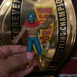 Custom Painted King Midas desk display