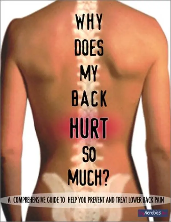 USED-Why Does My Back Hurt So Much?: A Comprehensive Guide to Help You Prevent and Treat Lower Back Pain by Mark Amir (Paperback)