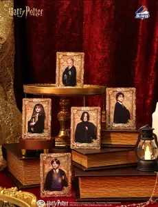 2026 Letogoods Harry Potter and the Sorcerer's Stone Series Collection