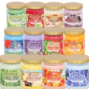 Smoke Odor Exterminator Candle 13oz Scented Aroma Decor Freshener Ornaments Decoration Eco-Friendly Long Lasting Powerful Fresh Air Odor Exterminator Candle Magic Clean Vibes Only