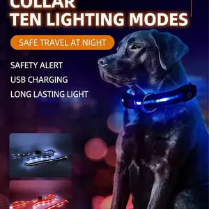 Best-Selling Pet Anti-Loss Night Light-Up LED Rechargeable Waterproof Colorful Leash Collar for Pets Under 22 lbs