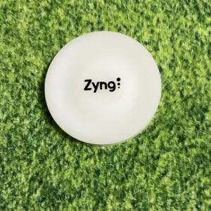 Zyng